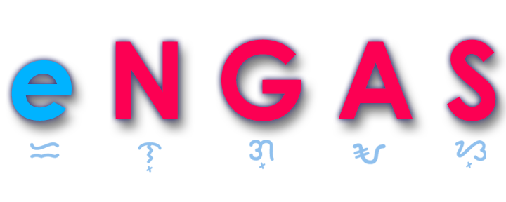 eNGAS LGU Version